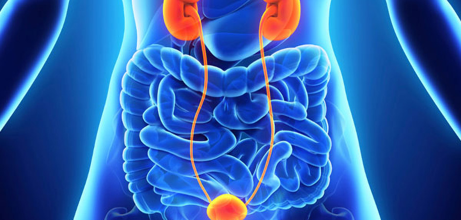 Urology at Triton Super Speciality Clinic Panvel, Navi Mumbai